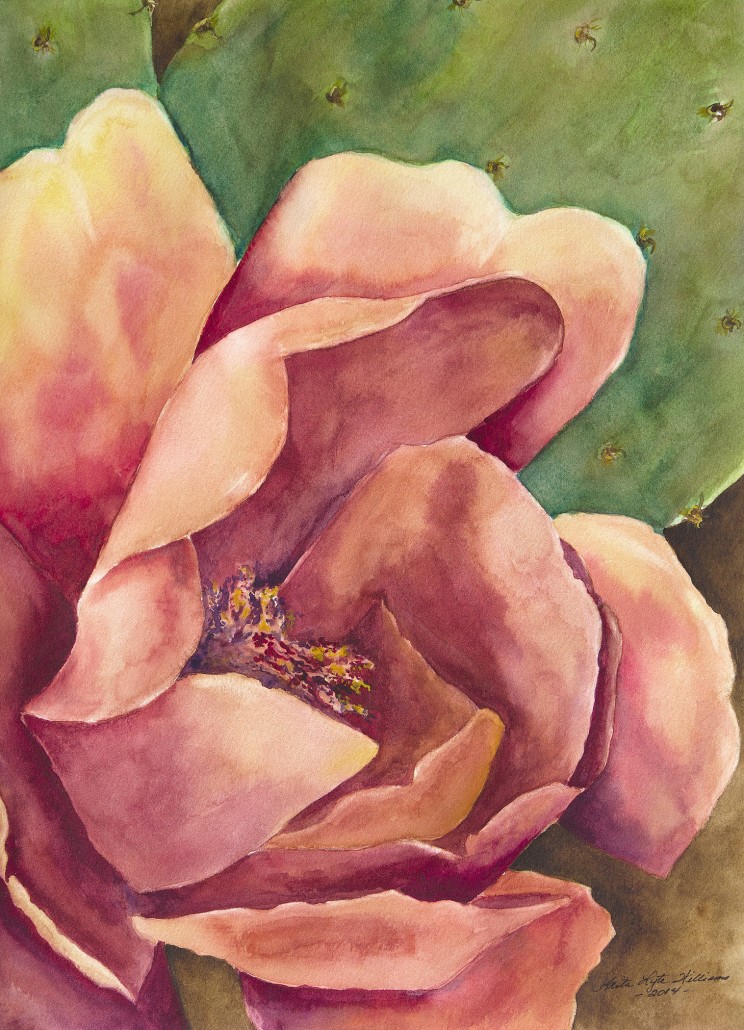 Watercolor of a salmon colored cactus bloom and paddle leaf behind.