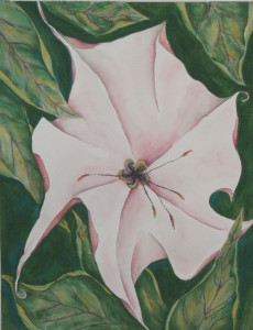 Somewhat abstract interpretation of an open datura bloom, surrounded by leaves.