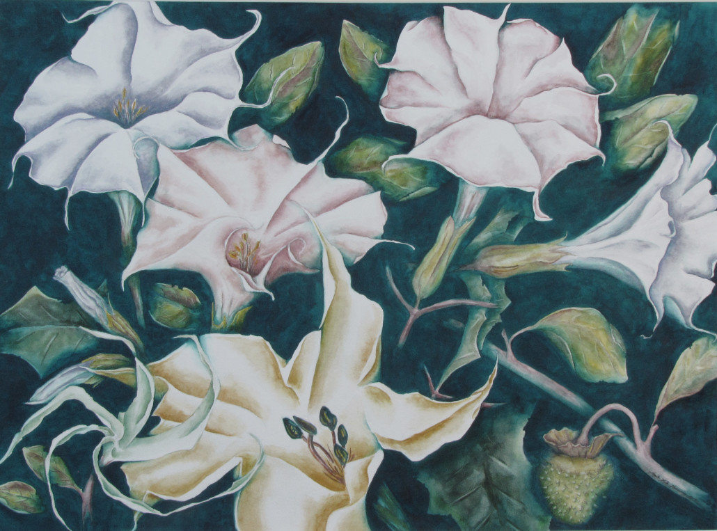 Large watercolor of a gathering of datura flowers and leaves in a dark, midnight setting.